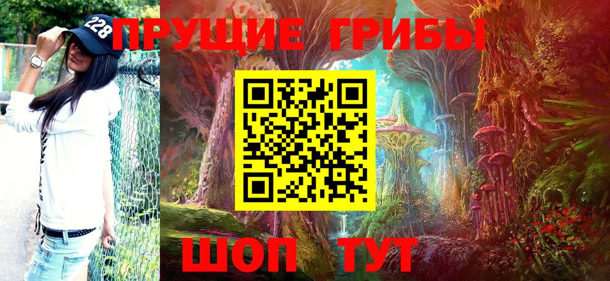 Галлюциногенные грибы Psilocybe Печора