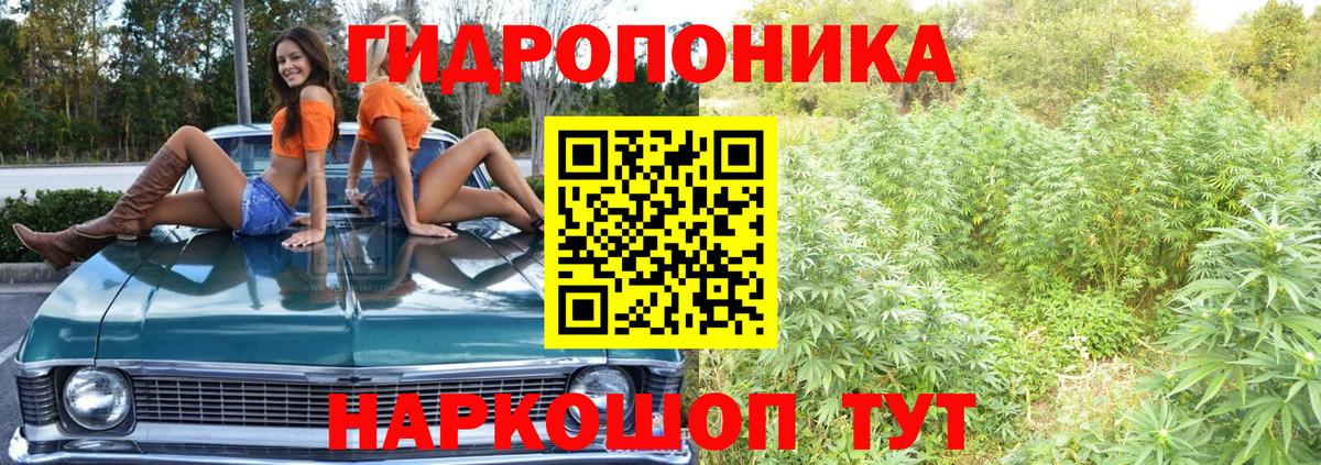 Конопля SATIVA & INDICA Печора